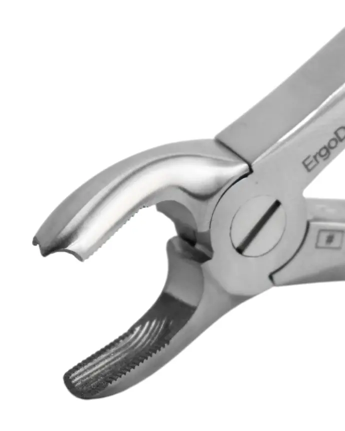 Diamond Serretad Extraction Forceps Diamond Extraction Forcep