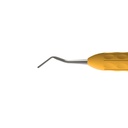 Plastic Instrument (Posterior) | ErgoLite