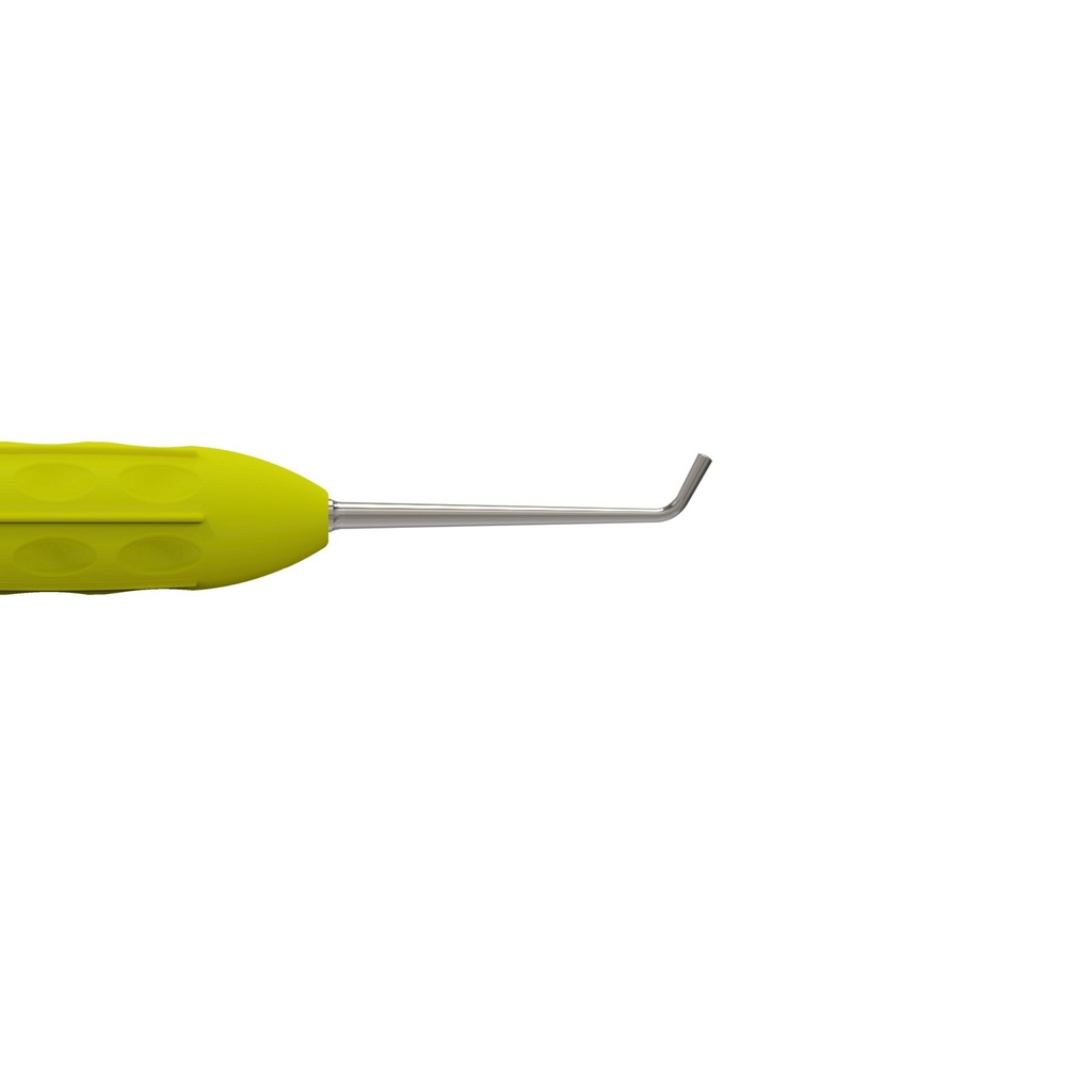 Plastic Instrument (Anterior) | ErgoLite
