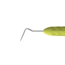 Root Canal Explorer | ErgoLite
