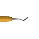 Plastic Instrument (Posterior) | ErgoLite
