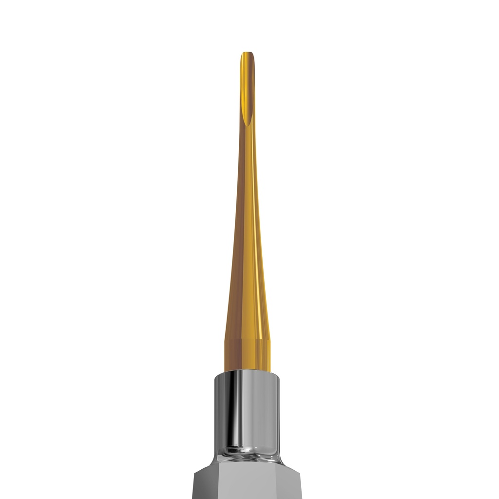 Standard Luxating Elevator Gold, Straight, 2.5mm