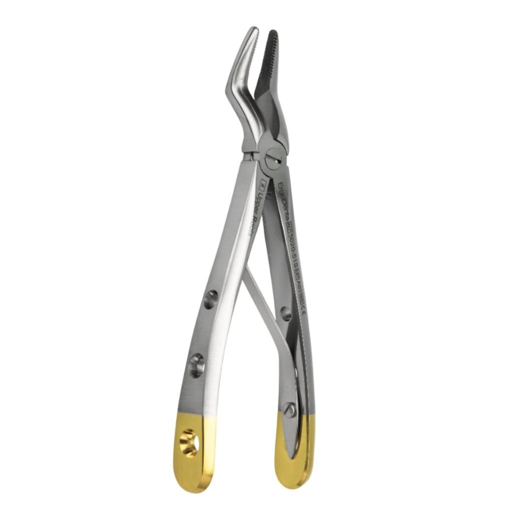 Fig. 51S, Upper Roots