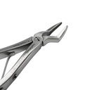 Fig. 51S, Upper Roots