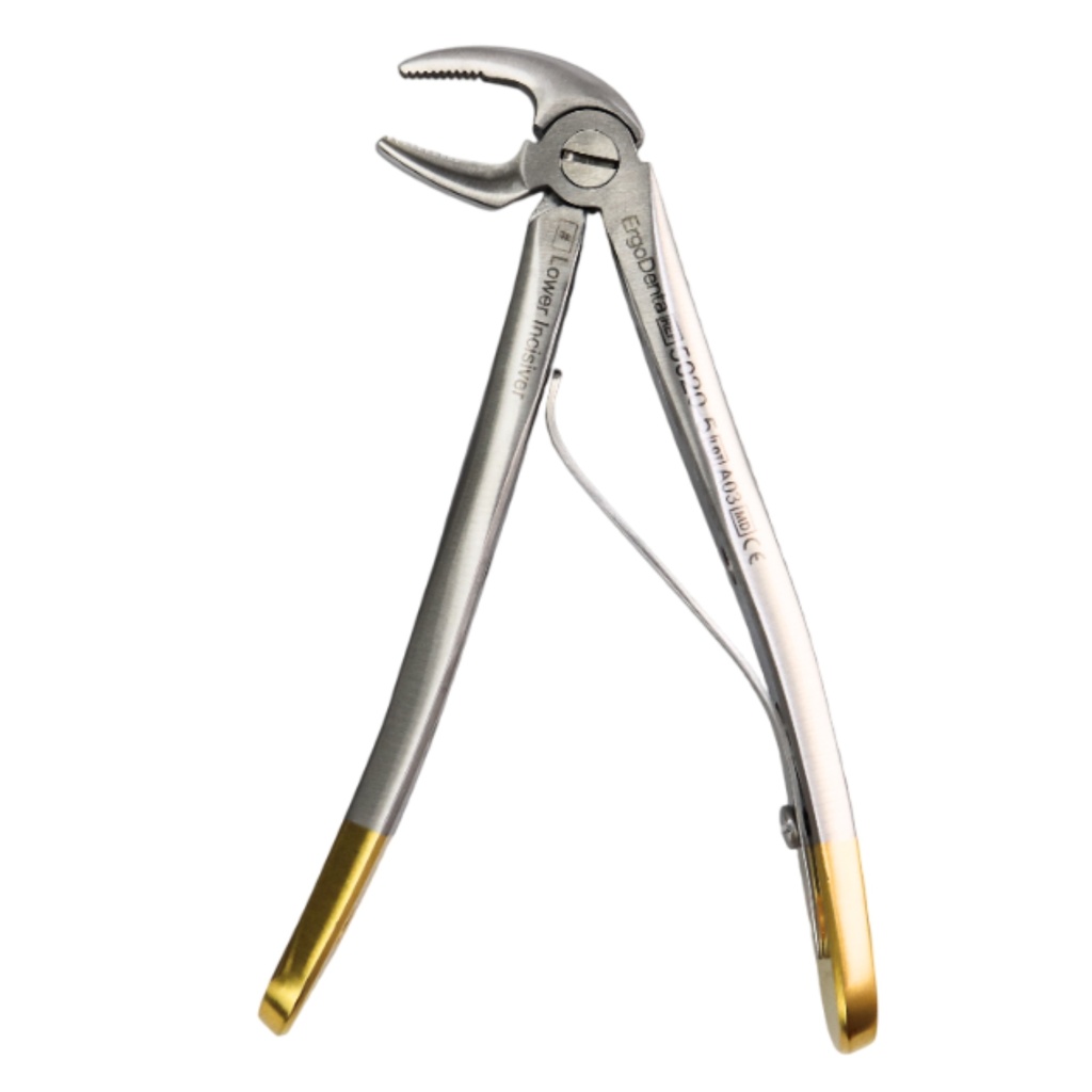 Fig. 5, Lower Incisiver