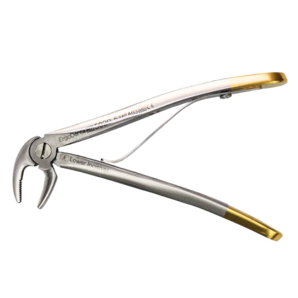 Fig. 5, Lower Incisiver