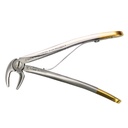 Fig. 5, Lower Incisiver