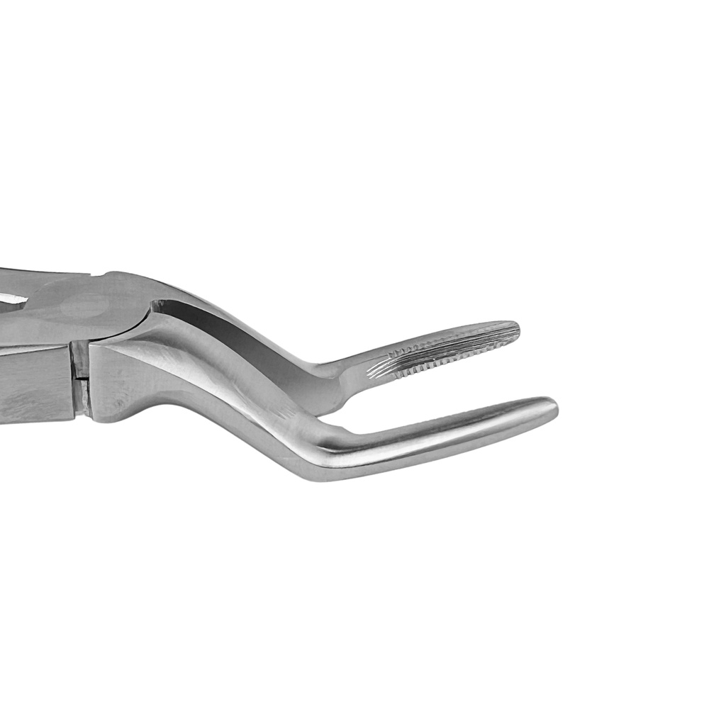GripMaster Upper Spade Root Diamond Extraction Forcep 