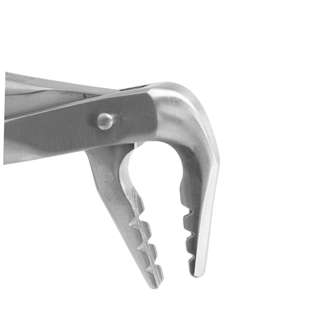 GripMaster Lower Anterior Diamond Extraction Forcep 