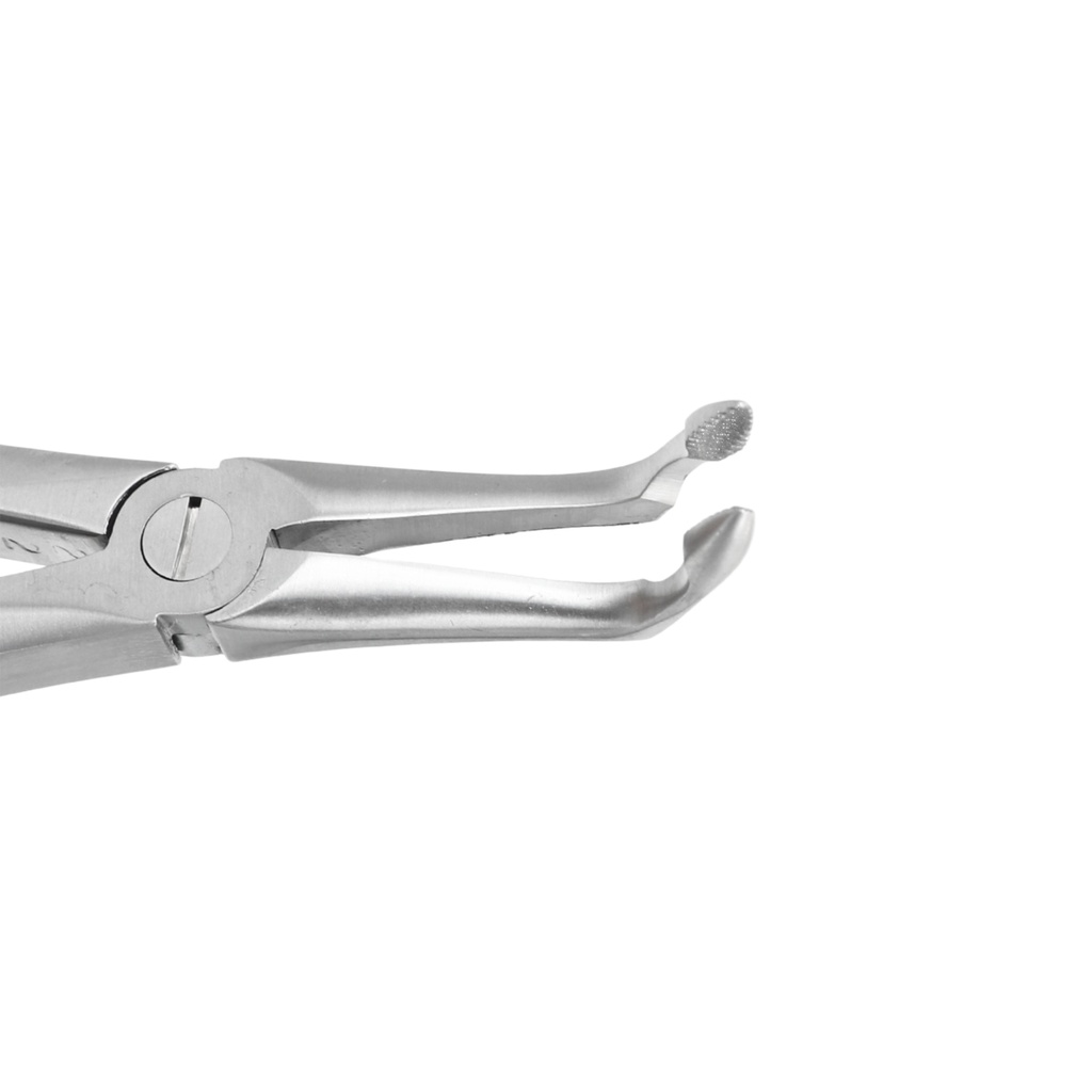 GripMaster Lower Spade Root Diamond Extraction Forceps – dental gripmaster forceps | ErgoDenta