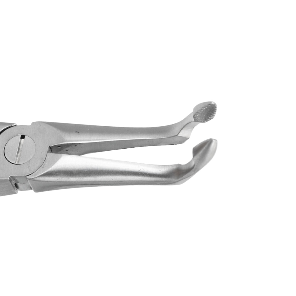 GripMaster Lower Spade Root Diamond Extraction Forceps