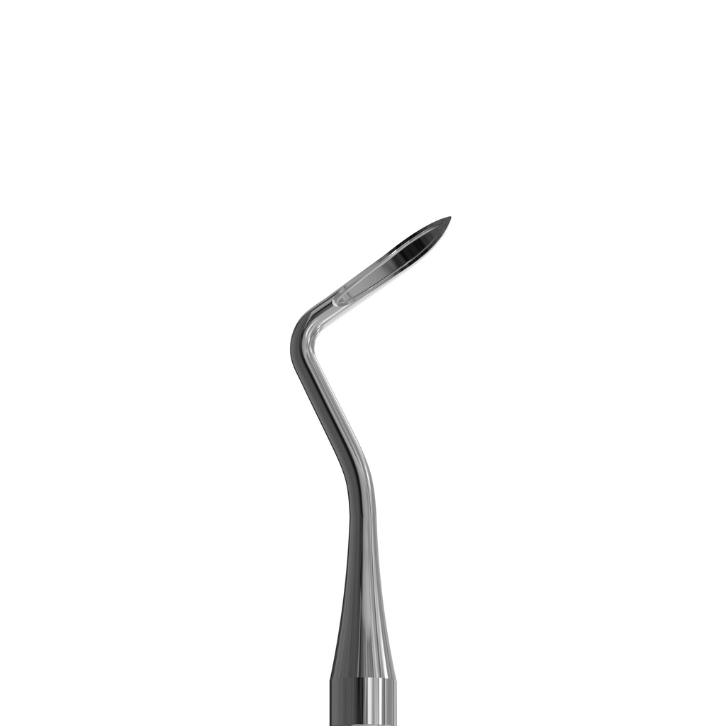 Flohr Root Elevator, Right