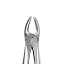 Upper Molars, Right | Standard Extraction Forcep