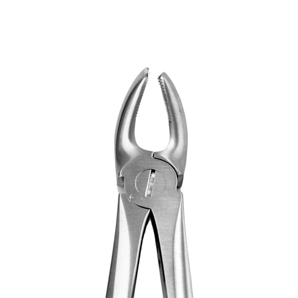 Upper Molars, Left | Standard Extraction Forcep
