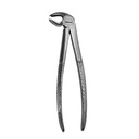 Lower Molars | Standard Extraction Forcep