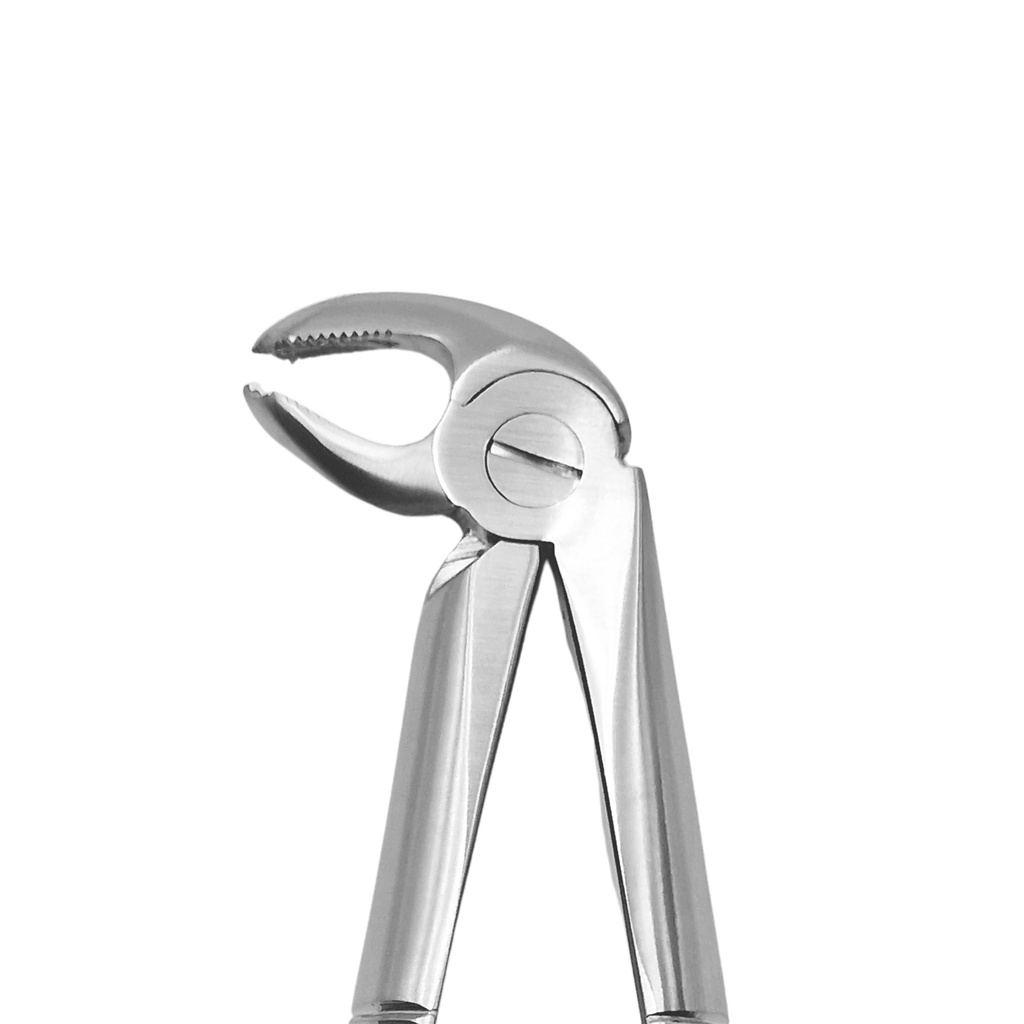 Fig. 13K Premolars, Lower Jaw | Junior Extraction Forceps