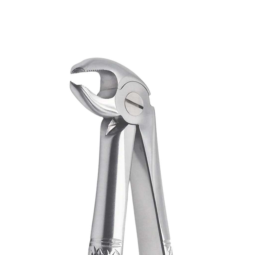 Fig. 22K Molars, Lower Jaw | Junior Extraction Forceps