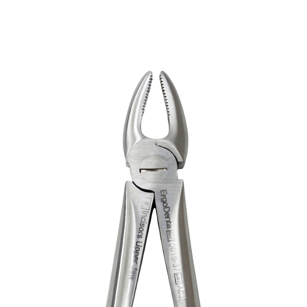 Fig. 37 Incisors, Upper Jaw | Junior Extraction Forceps