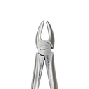Fig. 37 Incisors, Upper Jaw | Junior Extraction Forceps