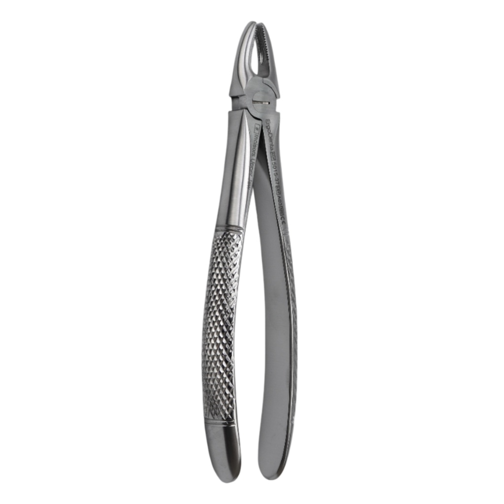 Fig. 37 Incisors, Upper Jaw | Junior Extraction Forceps