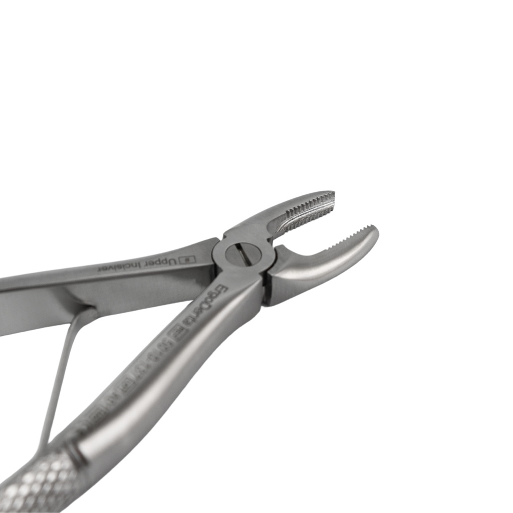 Fig. 137, Upper Incisors | Child Extraction Forcep