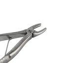 Fig. 137, Upper Incisors | Child Extraction Forcep