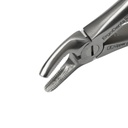 Fig. 139, Upper Pre Molars | Child Extraction Forcep