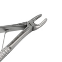 Fig. 139, Upper Pre Molars | Child Extraction Forcep