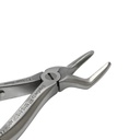 Fig. 51S, Upper Roots | Child Extraction Forcep