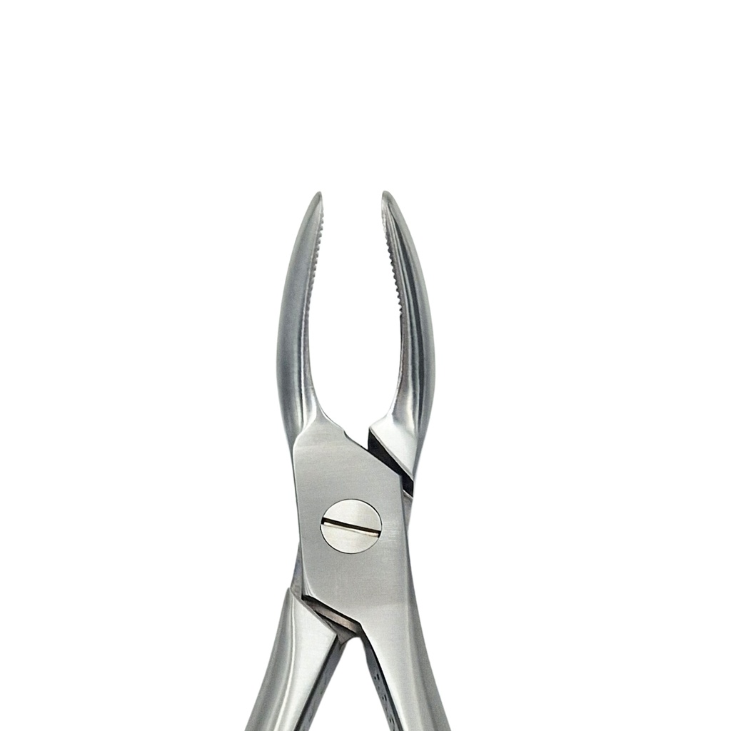 Universal-Lower Roots | Standard Extraction Forcep
