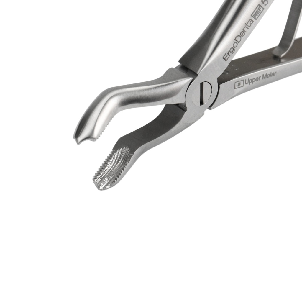 Fig. 3 Upper Molars | Child Extraction Forcep