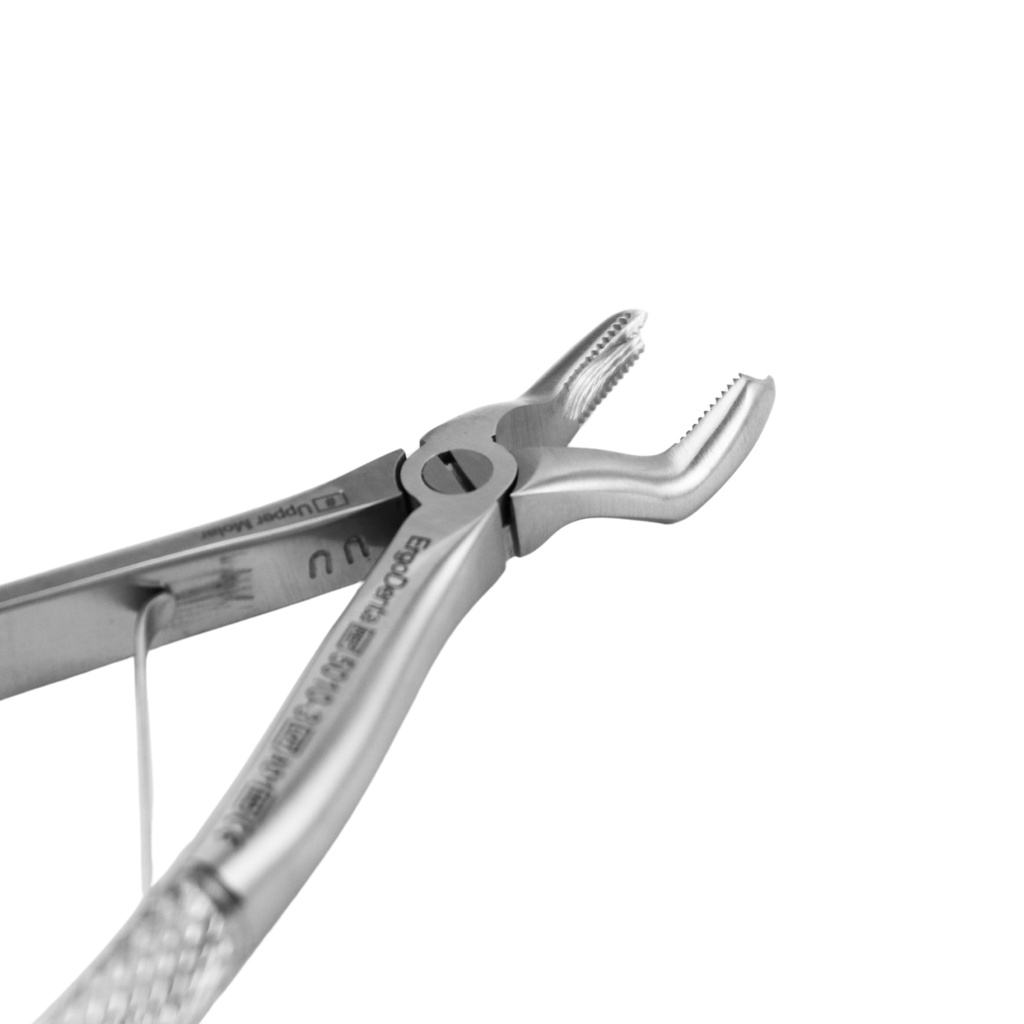 Fig. 3 Upper Molars | Child Extraction Forcep