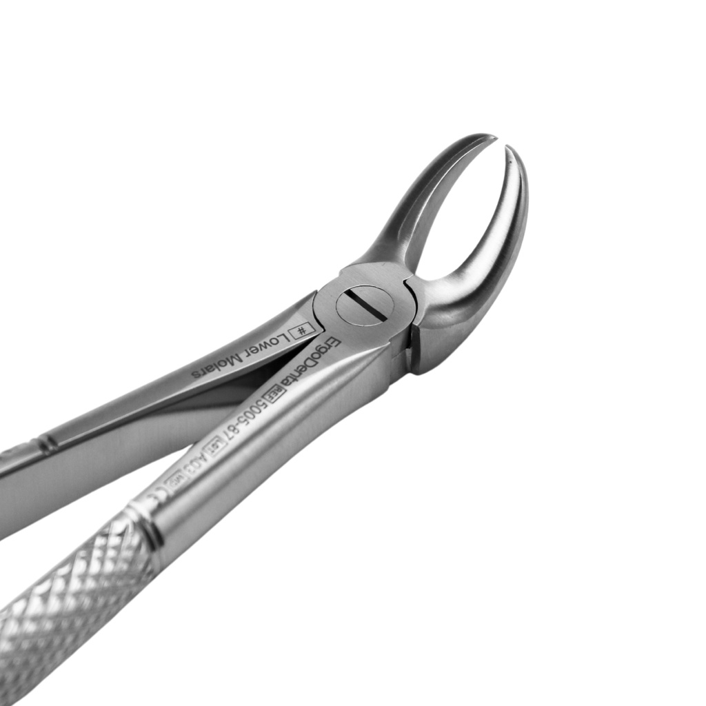 Lower Molars | Standard Extraction Forcep