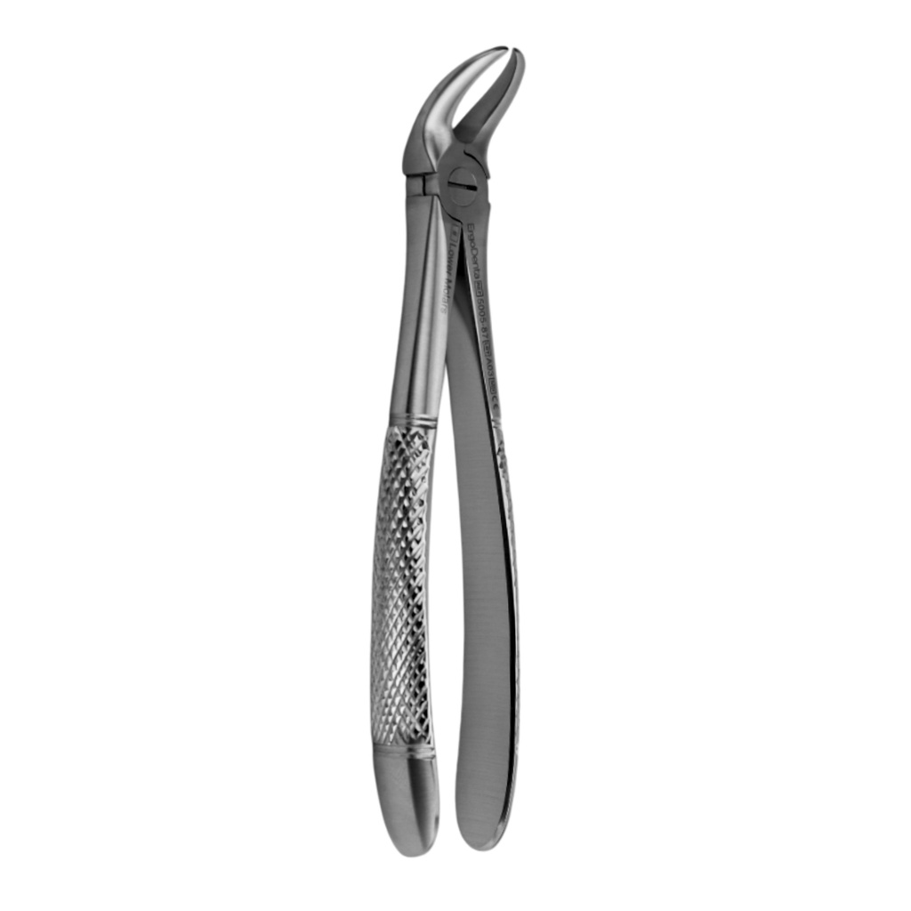 Lower Molars | Standard Extraction Forcep