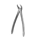 Lower Molars | Standard Extraction Forcep