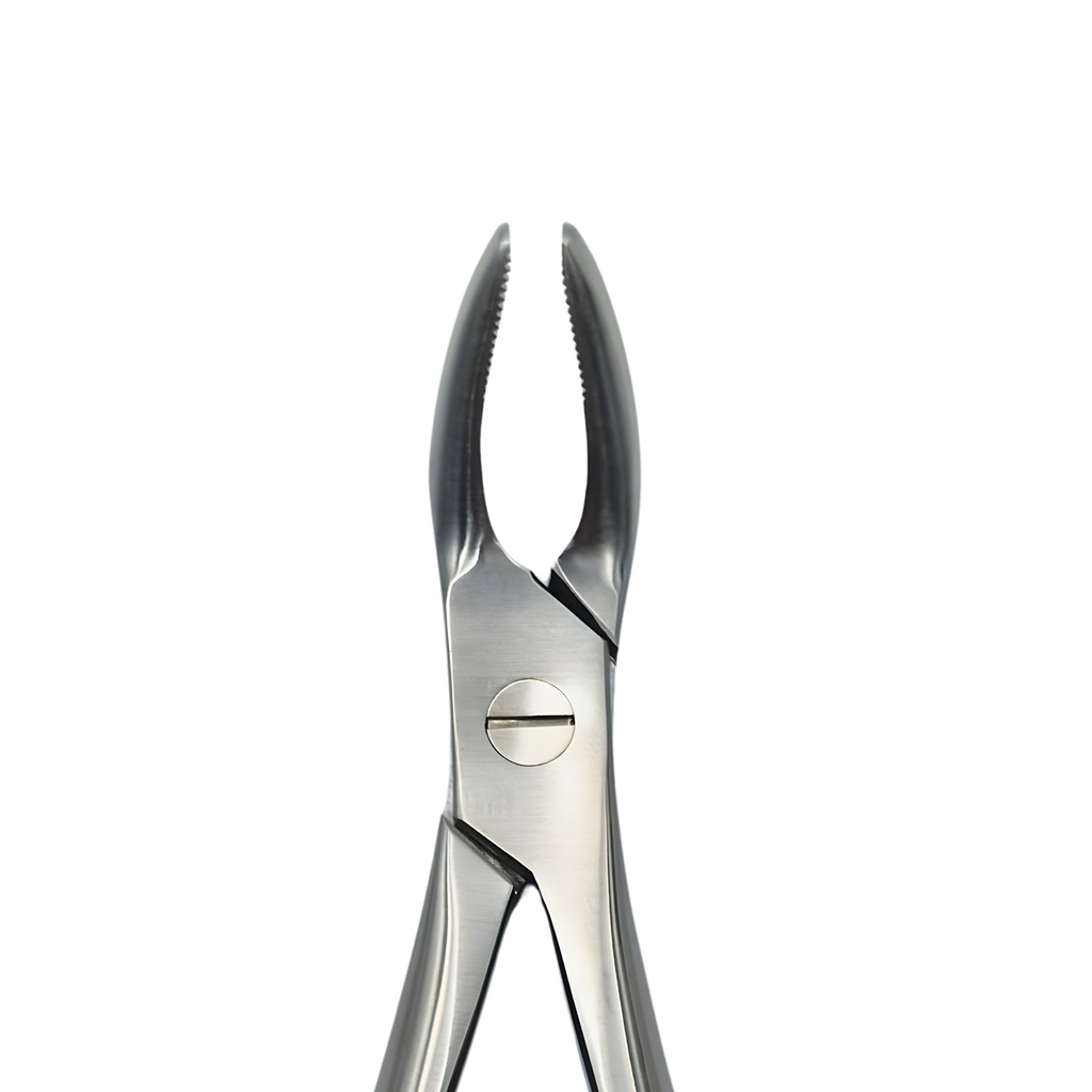 Universal Upper Roots Extracting Forceps | Standard Extraction Forcep