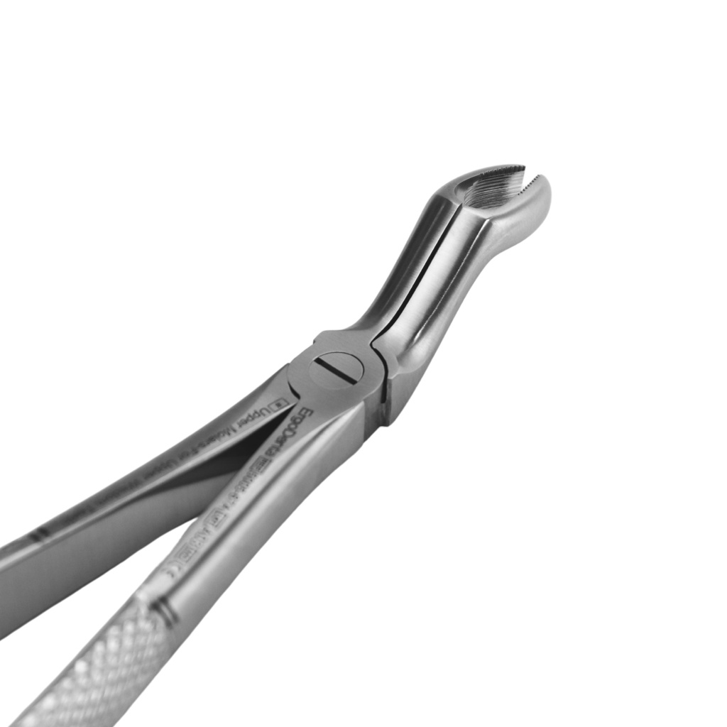 Upper Molars for Upper Wisdom Teeth | Standard Extraction Forcep