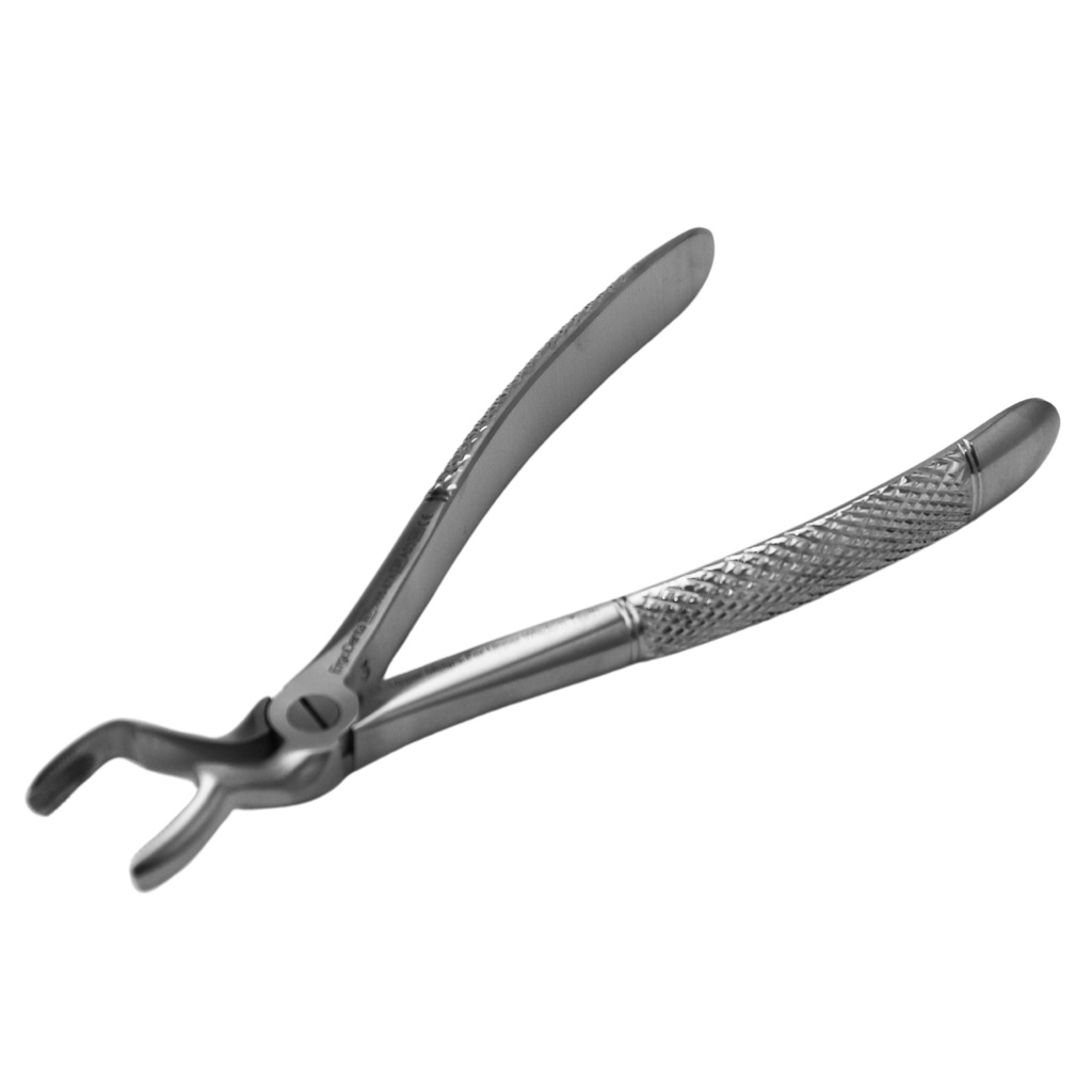 Upper Molars for Upper Wisdom Teeth | Standard Extraction Forcep
