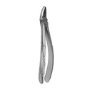 Upper Premolars | Standard Extraction Forcep