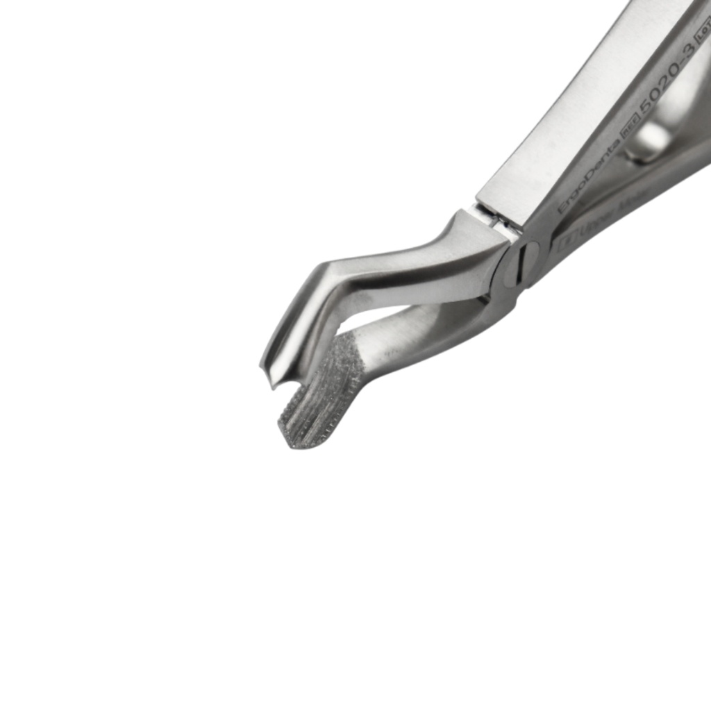 Fig. 3 Upper Molars | Diamond Child Extraction Forcep