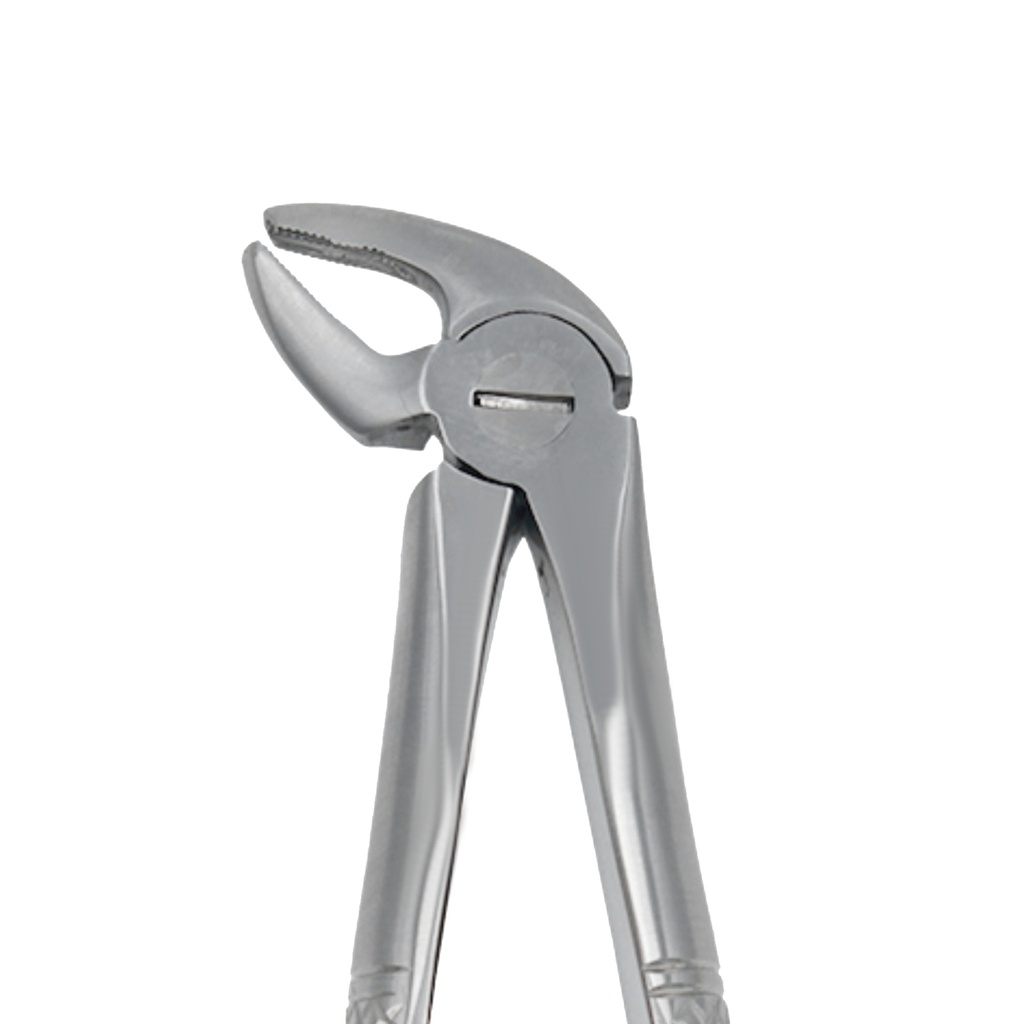 Fig. 38 Incisors and Canines, Lower Jaw | Junior Extraction Forceps