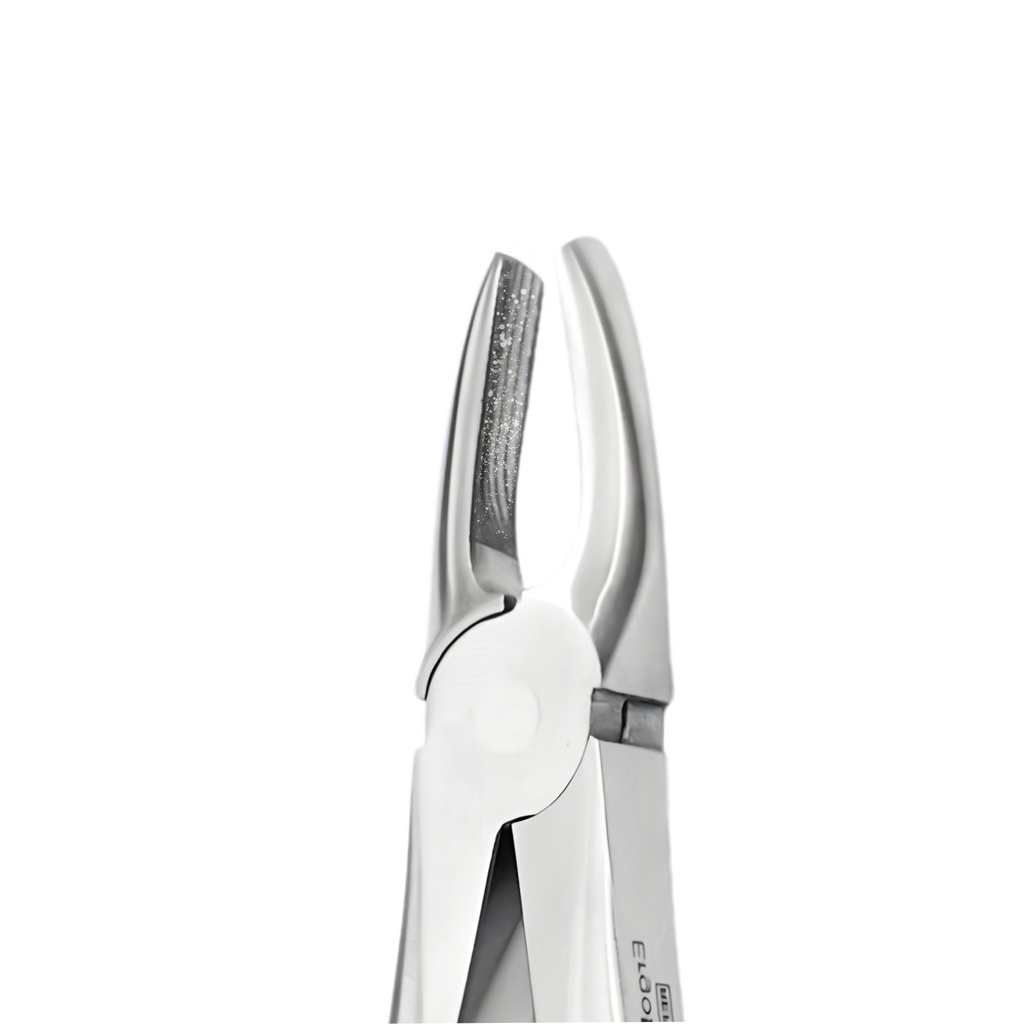 Upper Incisors and Molars | Diamond Extraction Forcep
