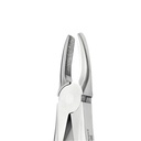 Upper Incisors and Molars | Diamond Extraction Forcep