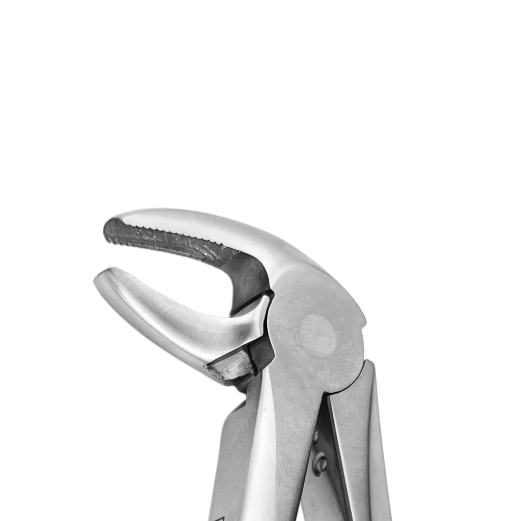 Lower Molars and Premolars | Diamond Extraction Forcep