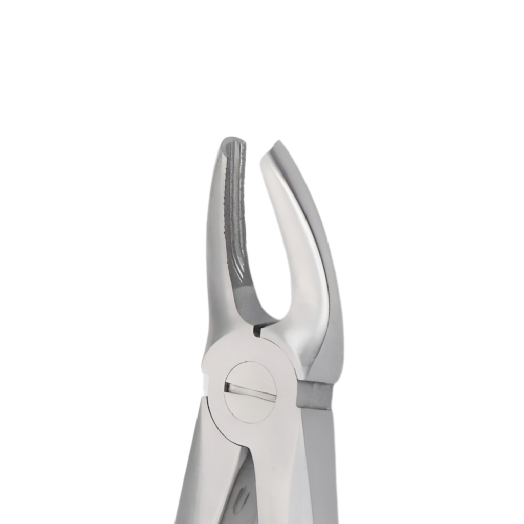 Upper Premolars | Diamond Extraction Forcep