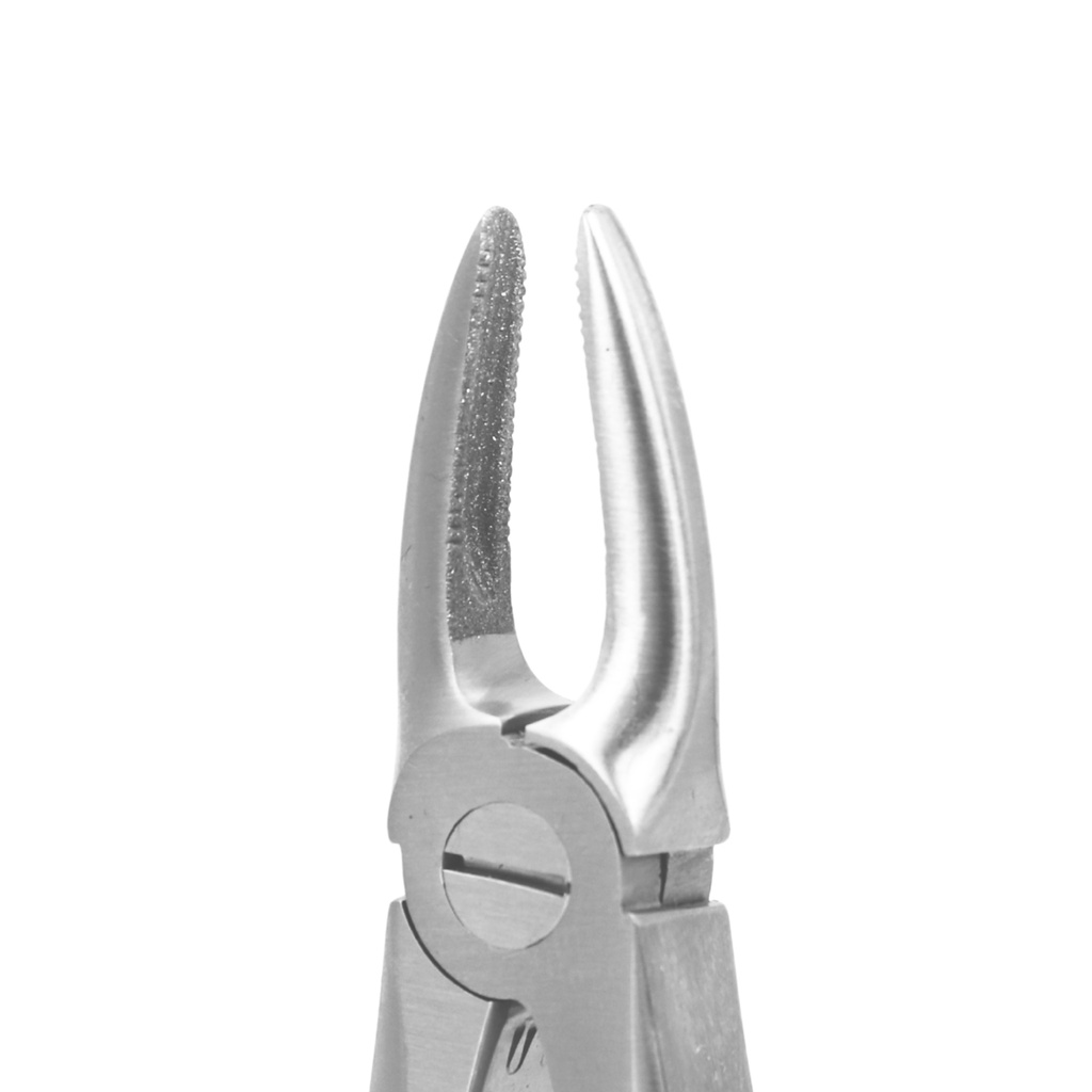 Upper Front | Diamond Extraction Forcep