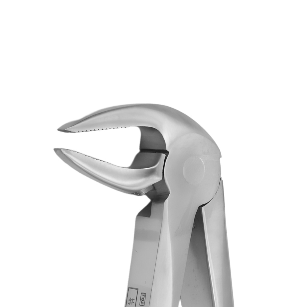 Lower Incisors, Premolars and Roots | Diamond Extraction Forcep