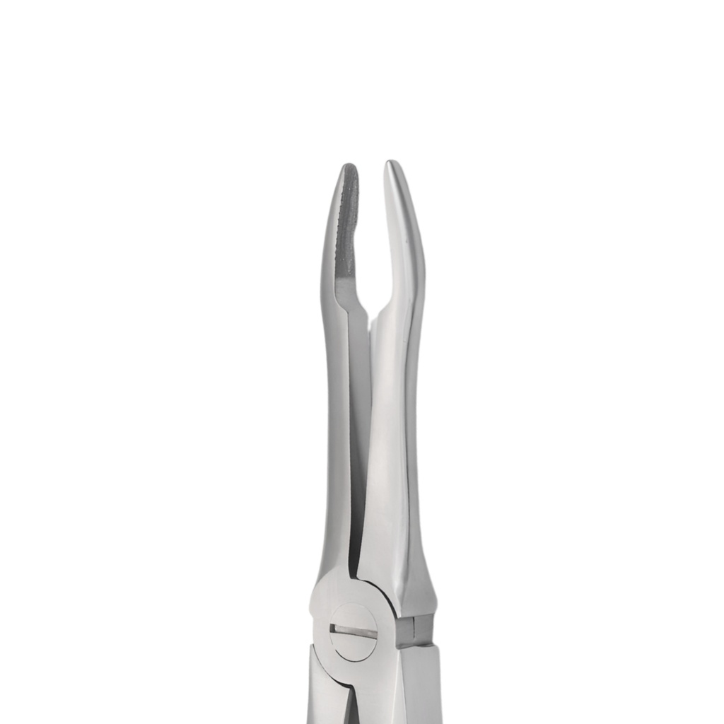 Upper Roots | Diamond Extraction Forcep