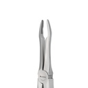 Upper Roots | Diamond Extraction Forcep