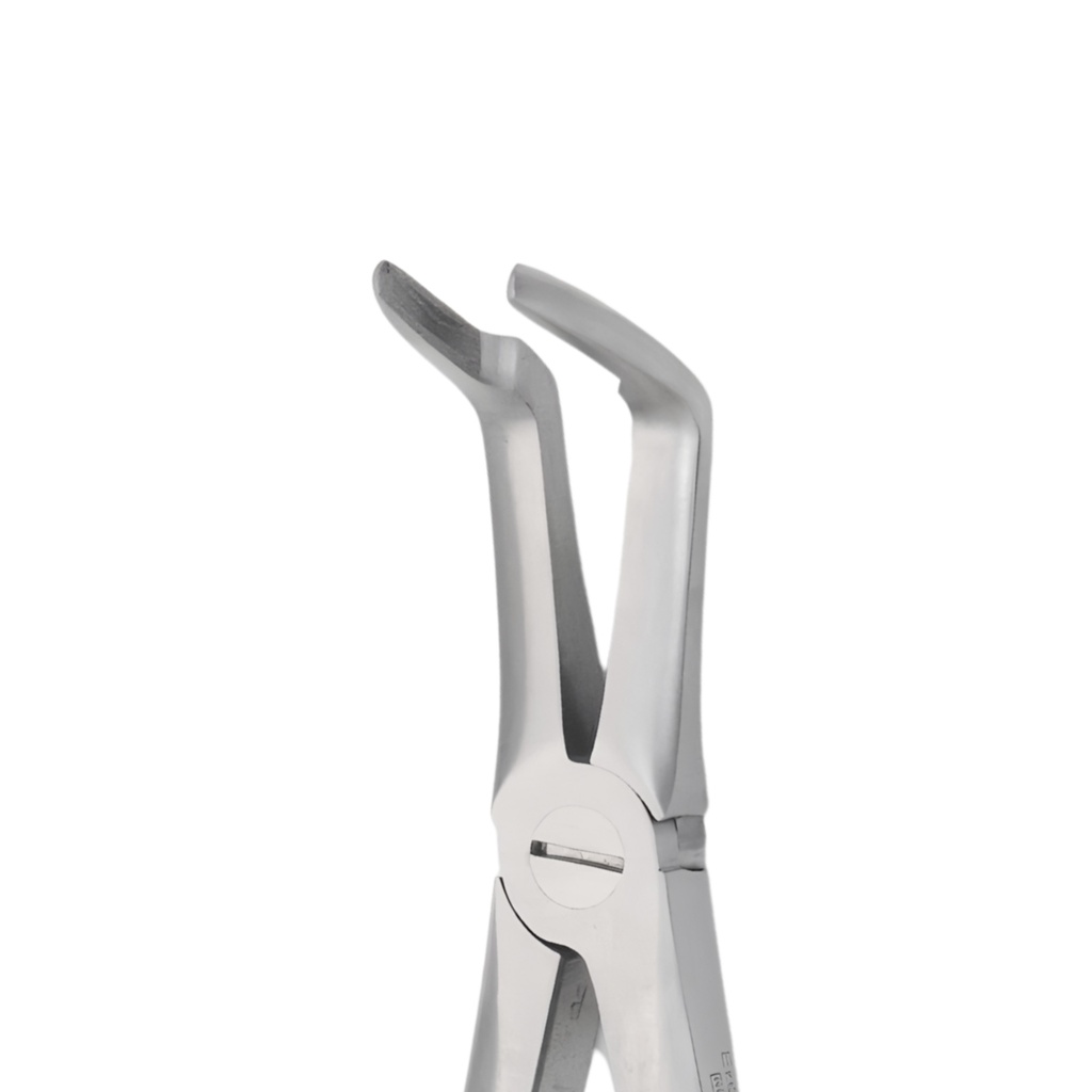 Upper Roots | Diamond Extraction Forcep